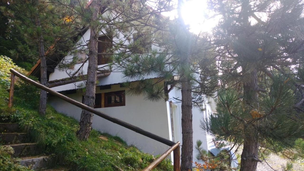Готель Uki & Sofi Mountain House Копаоник Екстер'єр фото