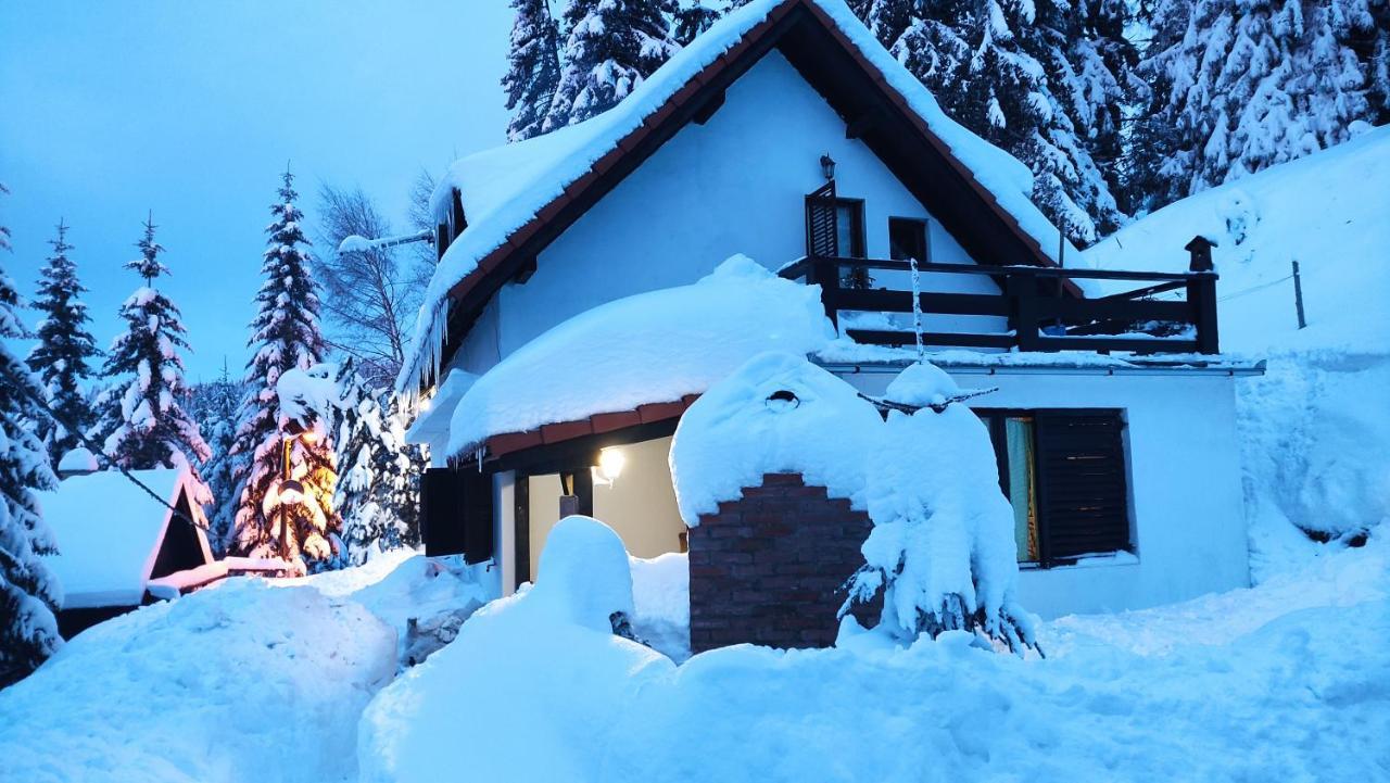 Готель Uki & Sofi Mountain House Копаоник Екстер'єр фото