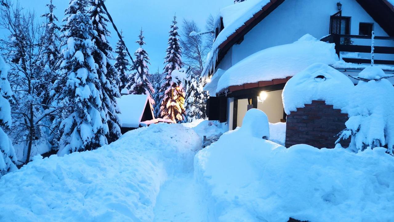 Готель Uki & Sofi Mountain House Копаоник Екстер'єр фото