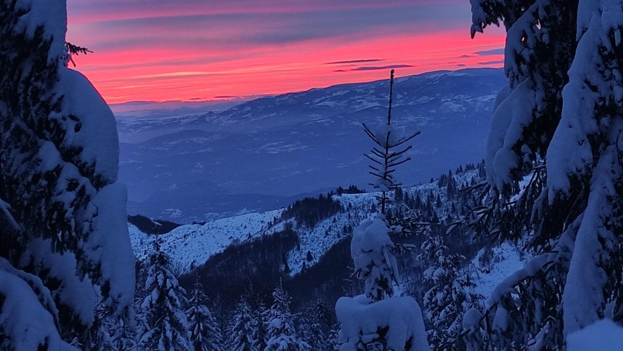 Готель Uki & Sofi Mountain House Копаоник Екстер'єр фото