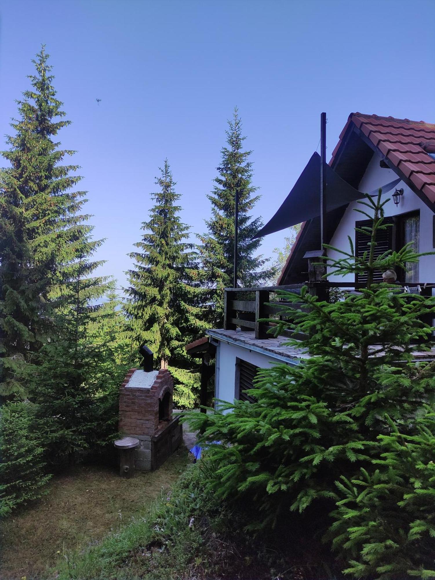 Готель Uki & Sofi Mountain House Копаоник Номер фото